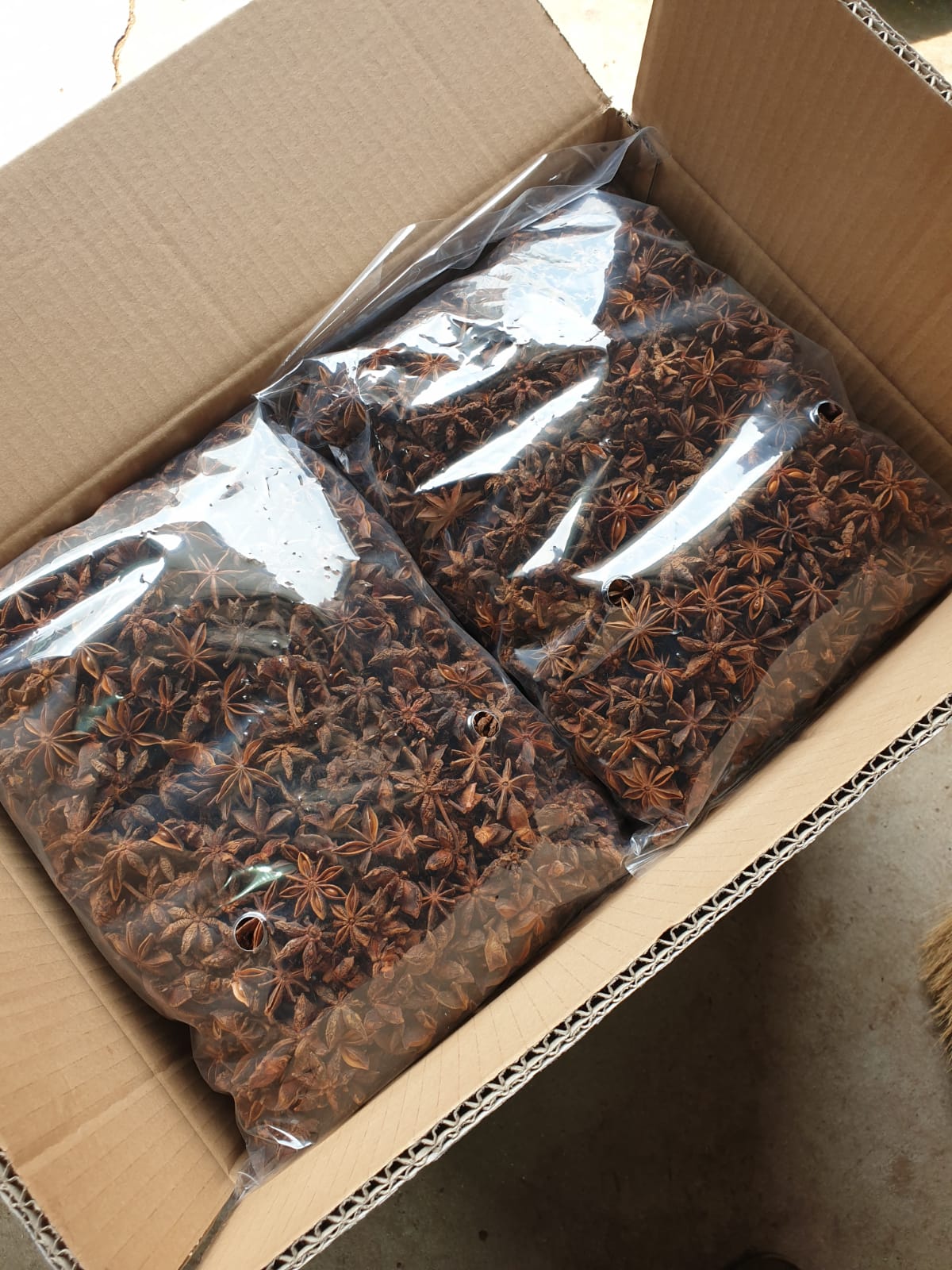 Premium spring star anise